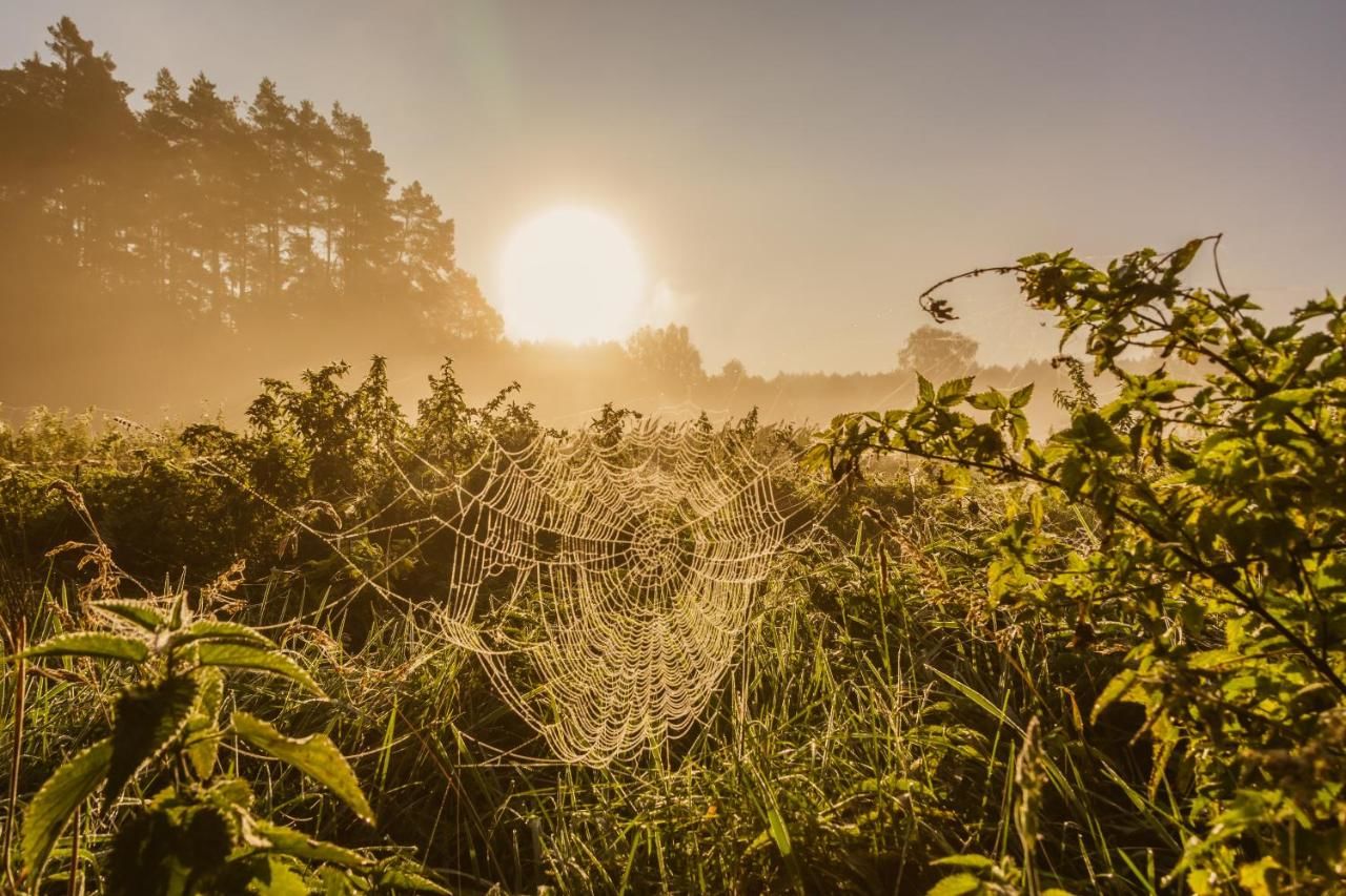 Фермерские дома Gospodarstwo Agroturystyczne Zacisze Русь